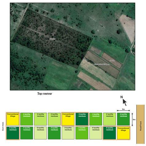 Aerial picture of the established conservation agriculture trials at Domboshava 