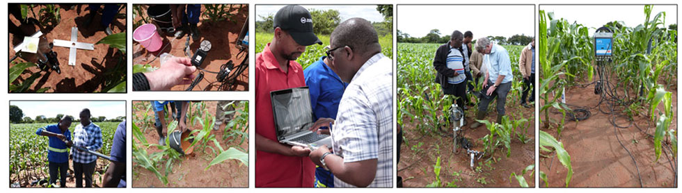 Training in installation of the soil physics equipment at Liempe Farm.