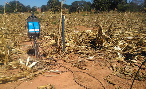 Data logger with cables in a maize/soybean plot
